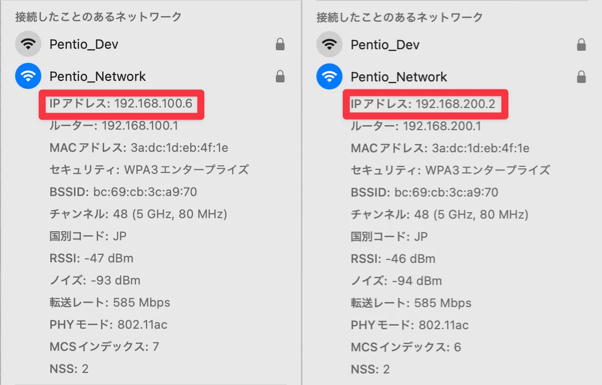 VLAN-ID 100で割り当てられたIPアドレスの確認画面